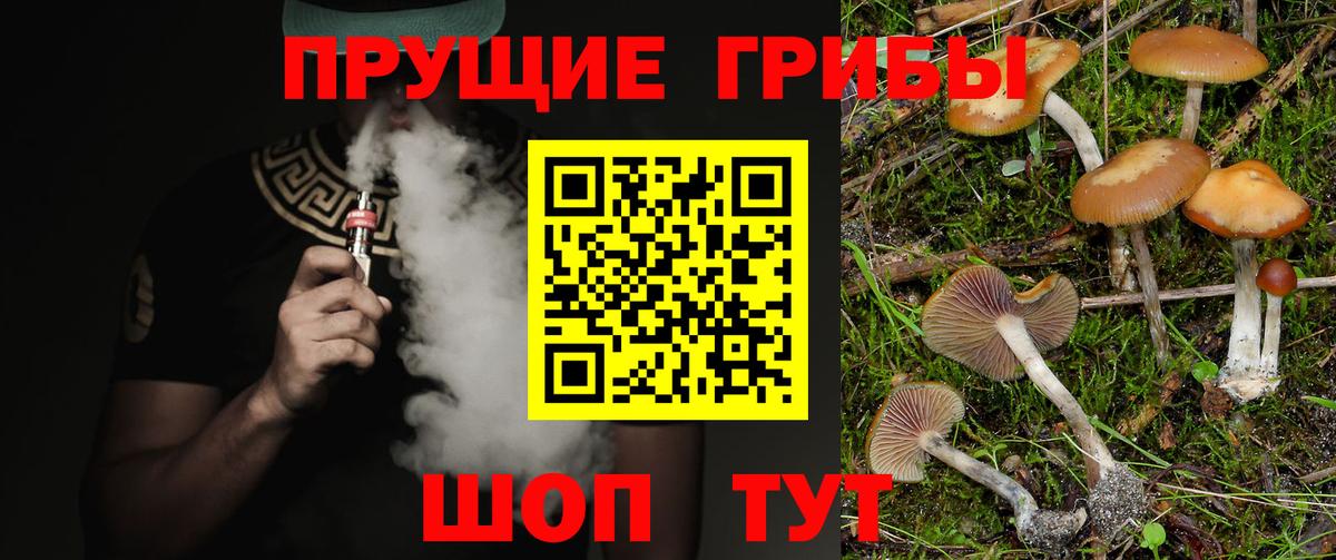 Галлюциногенные грибы MAGIC MUSHROOMS Слободской