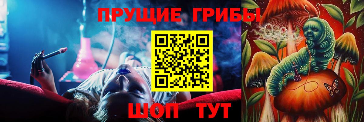 Слободской  цена наркотик  Псилоцибиновые грибы ЛСД  Вход с VPN  Галлюциногенные грибы Cubensis 